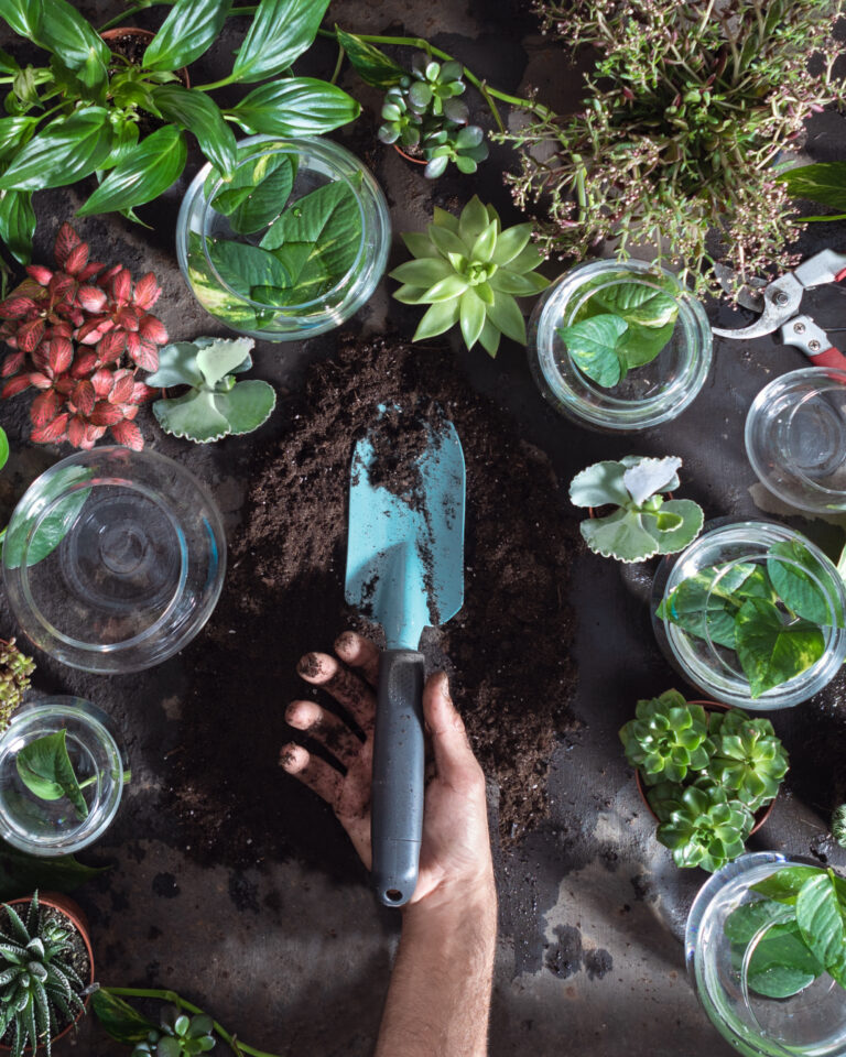 15 Best Garden Hacks That Will Give You an Instant Green Thumb